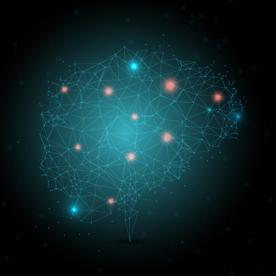 Neuroplasticità - immagine di un cervello