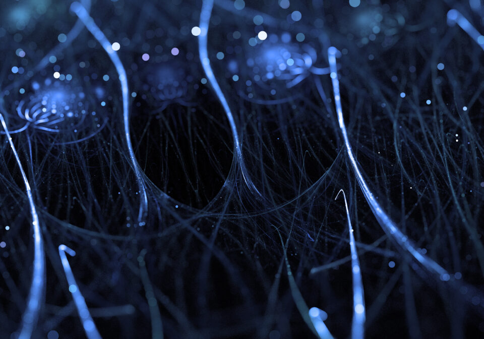 Neuroplasticità - riproduzione delle connessioni neurali